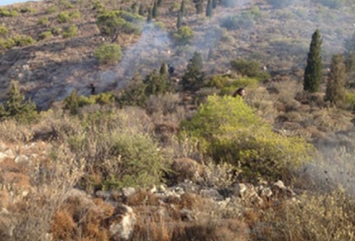 Μικρή πυρκαγιά στον Καραβά