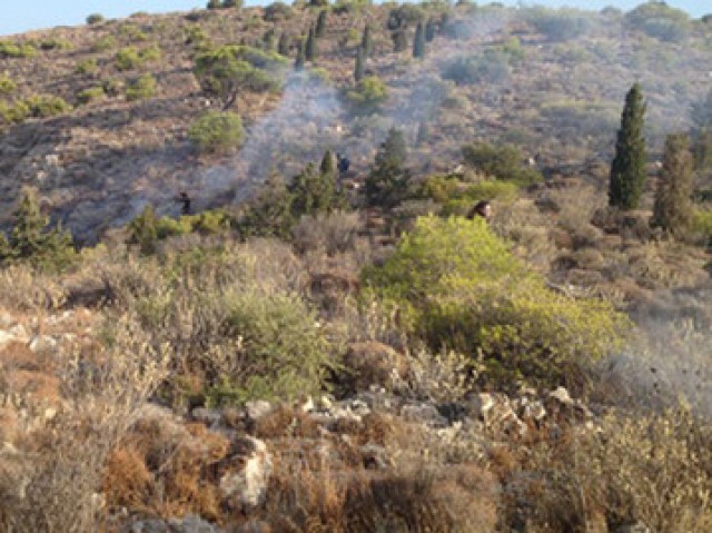 &Mu;&iota;&kappa;&rho;ή &pi;&upsilon;&rho;&kappa;&alpha;&gamma;&iota;ά &sigma;&tau;&omicron;&nu; &Kappa;&alpha;&rho;&alpha;&beta;ά