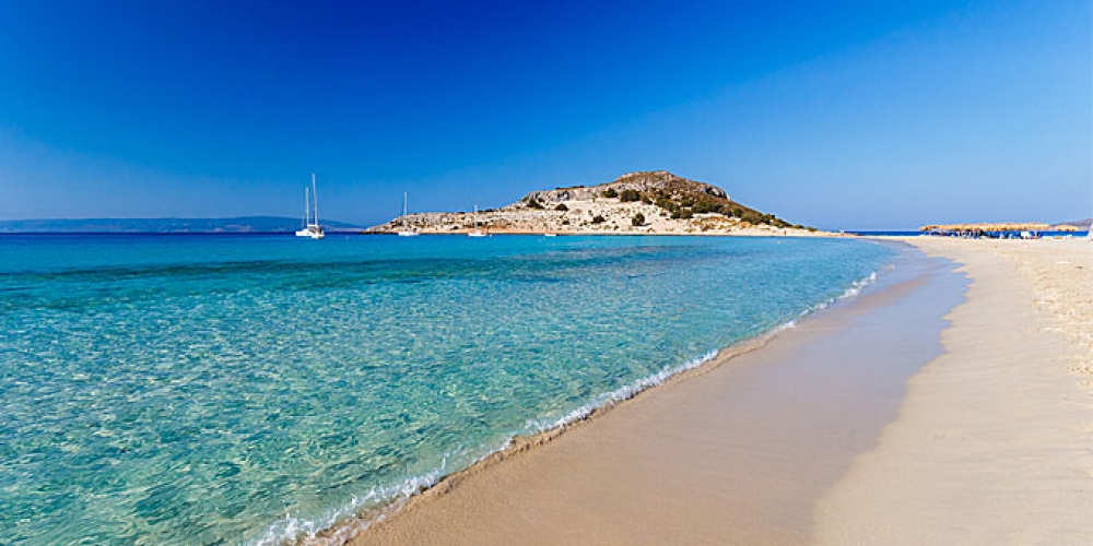 &Delta;&upsilon;&nu;&alpha;&mu;&iota;&kappa;ή &pi;&alpha;&rho;&omicron;&upsilon;&sigma;ί&alpha; &tau;&eta;&sigmaf; &Epsilon;&lambda;&alpha;&phi;&omicron;&nu;ή&sigma;&omicron;&upsilon; &sigma;&tau;&eta; &Delta;&iota;&epsilon;&theta;&nu;ή Έ&kappa;&theta;&epsilon;&sigma;&eta; &tau;&omicron;&upsilon; &Beta;&epsilon;&rho;&omicron;&lambda;ί&nu;&omicron;&upsilon;