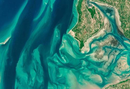 Οι ωκεανοί χάνουν το μπλε χρώμα τους και μετατρέπονται σε πράσινους