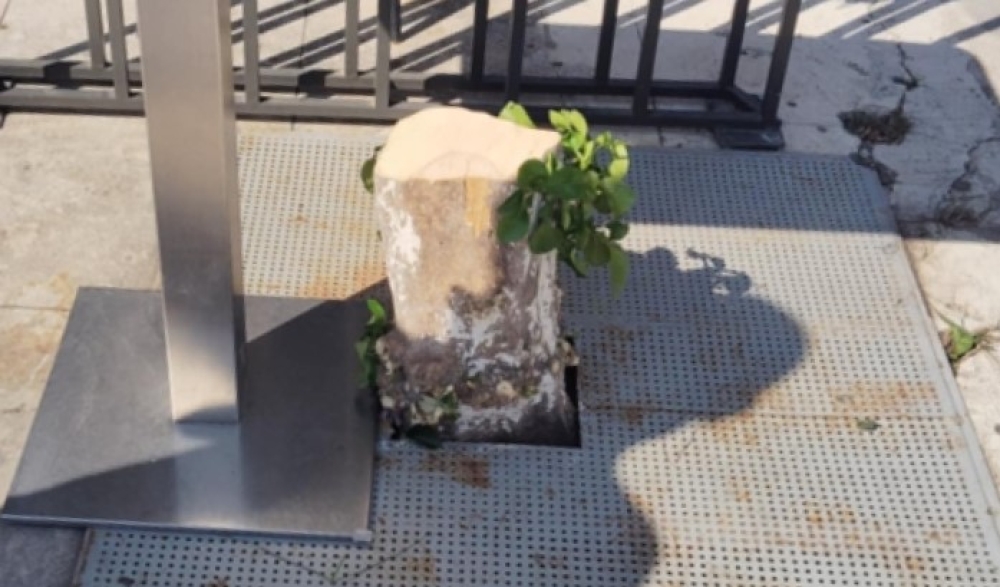 &Tau;&omicron; &delta;&iota;&kappa;ό &sigma;&alpha;&sigmaf; &sigma;&chi;ό&lambda;&iota;&omicron;: &Nu;&epsilon;&rho;&alpha;&nu;&tau;&zeta;&omicron;ύ&lambda;&alpha; &kappa;&omicron;&mu;&mu;έ&nu;&eta; &kappa;&alpha;&iota; ό&chi;&iota; &hellip; &phi;&omicron;&upsilon;&nu;&tau;&omega;&mu;έ&nu;&eta;