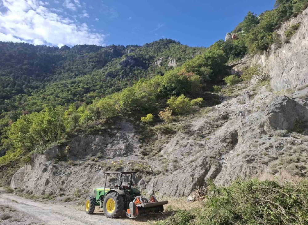 &Theta;&omega;&rho;&alpha;&kappa;ί&zeta;&epsilon;&tau;&alpha;&iota; &omicron; &Delta;. &Sigma;&pi;ά&rho;&tau;&eta;&sigmaf; &mu;&epsilon; 18 &alpha;&nu;&tau;&iota;&pi;&upsilon;&rho;&iota;&kappa;έ&sigmaf; &zeta;ώ&nu;&epsilon;&sigmaf; &gamma;ύ&rho;&omega; &alpha;&pi;ό &omicron;&iota;&kappa;&iota;&sigma;&mu;&omicron;ύ&sigmaf; &upsilon;&psi;&eta;&lambda;&omicron;ύ &kappa;&iota;&nu;&delta;ύ&nu;&omicron;&upsilon;