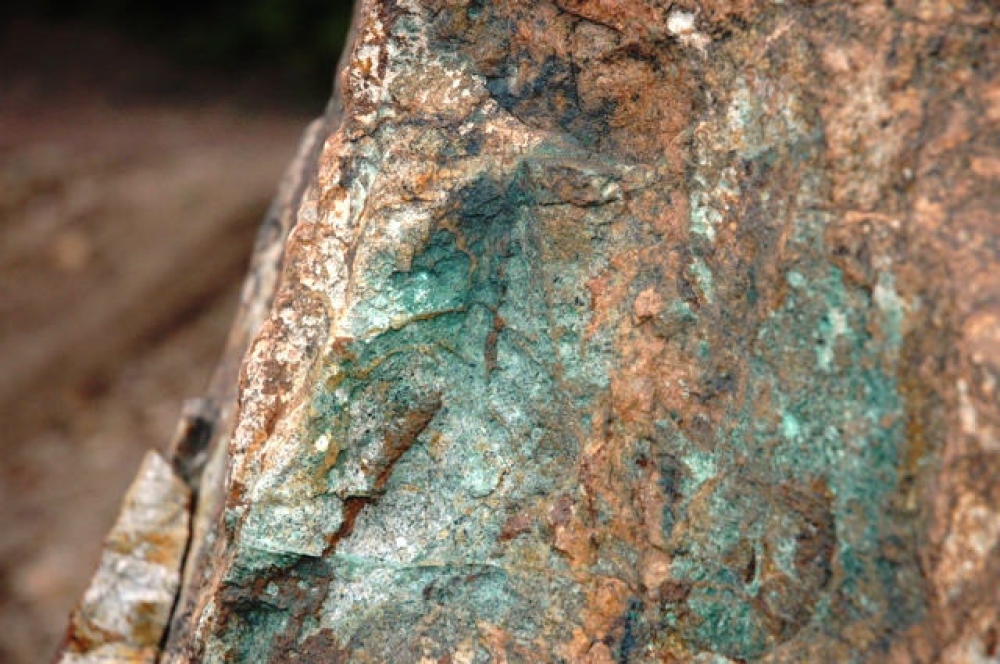 &Beta;&iota;&omicron;&mu;&eta;&chi;&alpha;&nu;&iota;&kappa;ό&sigmaf; &laquo;&pi;&lambda;&omicron;ύ&tau;&omicron;&sigmaf;&raquo; &sigma;&tau;&omicron; &upsilon;&pi;έ&delta;&alpha;&phi;&omicron;&sigmaf; &tau;&omega;&nu; &Mu;&omicron;&lambda;ά&omega;&nu;