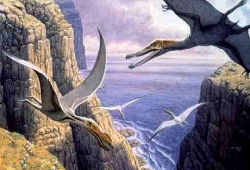 Ο αρχαιότερος πτερόσαυρος ηλικίας 163 εκατ. ετών βρέθηκε στην έρημο Γκόμπι