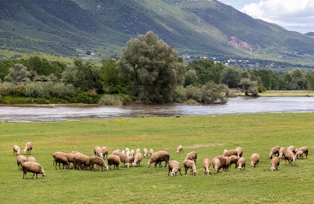 &Nu;έ&omicron; &pi;&rho;&iota;&mu; eco-schemes 10 &epsilon;&upsilon;&rho;ώ &tau;&omicron; &sigma;&tau;&rho;έ&mu;&mu;&alpha; &epsilon;&pi;&iota;&delta;&omicron;&tau;&epsilon;ί &delta;&alpha;&sigma;&omicron;&sigma;&kappa;&epsilon;&pi;ή &beta;o&sigma;&kappa;&omicron;&tau;ό&pi;&iota;&alpha;