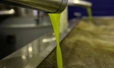 &Sigma;&tau;&alpha; 5,8 &epsilon;&upsilon;&rho;ώ &eta; &tau;&epsilon;&lambda;&epsilon;&upsilon;&tau;&alpha;ί&alpha; &pi;ώ&lambda;&eta;&sigma;&eta; &epsilon;&lambda;&alpha;&iota;&omicron;&lambda;ά&delta;&omicron;&upsilon; &sigma;&tau;&eta; &nu;ό&tau;&iota;&alpha; &Lambda;&alpha;&kappa;&omega;&nu;ί&alpha;