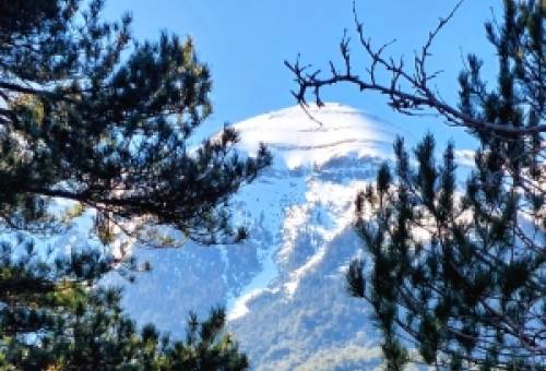 Από την πέτρα του Ρίτσου στο φως του Βρεττάκου