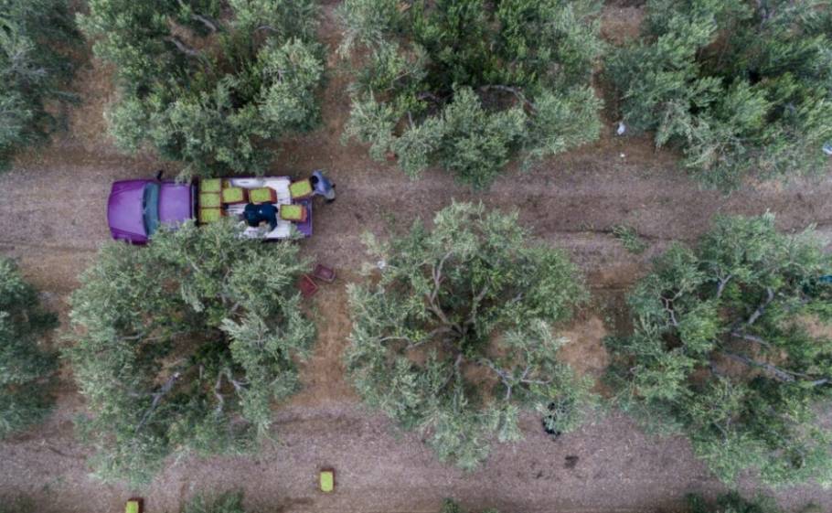&Pi;&alpha;&rho;&alpha;&gamma;&omega;&gamma;&iota;&kappa;ό&sigmaf; &epsilon;&kappa;&sigma;&upsilon;&gamma;&chi;&rho;&omicron;&nu;&iota;&sigma;&mu;ό&sigmaf; &mu;&epsilon; &nu;έ&alpha; &Sigma;&chi;έ&delta;&iota;&alpha; &sigma;&tau;&eta;&nu; &Pi;&epsilon;&lambda;&omicron;&pi;ό&nu;&nu;&eta;&sigma;&omicron;