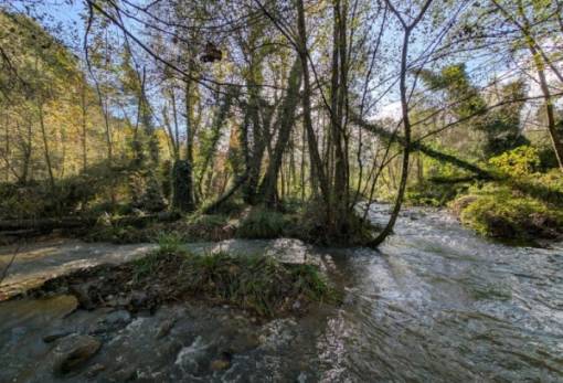 Ο Ευρώτας σπάει τα «δεσμά» και κελαρύζει ζωή