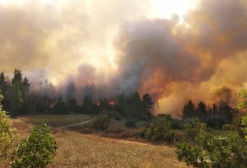 Παραμένει σε εξέλιξη η πυρκαγιά στη Μάνη