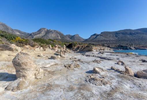 Σαν πας στην Ελαφόνησο... Μην παραλείψεις να επισκεφτείς το παράκτιο απολιθωμένο Φοινικόδασος