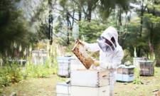 &Delta;&omega;&rho;&epsilon;ά&nu; &tau;&alpha;&chi;ύ&rho;&rho;&upsilon;&theta;&mu;&alpha; &sigma;&epsilon;&mu;&iota;&nu;ά&rho;&iota;&alpha; &kappa;&alpha;&tau;ά&rho;&tau;&iota;&sigma;&eta;&sigmaf; &gamma;&iota;&alpha; &mu;&epsilon;&lambda;&iota;&sigma;&sigma;&omicron;&kappa;ό&mu;&omicron;&upsilon;&sigmaf; &alpha;&pi;ό &tau;&omicron;&nu; &Epsilon;&Lambda;&Gamma;&Omicron; &ndash; &Delta;&Eta;&Mu;&Eta;&Tau;&Rho;&Alpha;