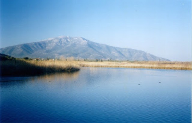 &Pi;&rho;ό&sigma;&lambda;&eta;&psi;&eta; &epsilon;&nu;ό&sigmaf; &phi;ύ&lambda;&alpha;&kappa;&alpha; &alpha;&pi;ό &tau;&omicron; &Phi;&Delta; &Pi;ά&rho;&nu;&omega;&nu;&alpha;-&Mu;&omicron;&upsilon;&sigma;&tau;&omicron;ύ
