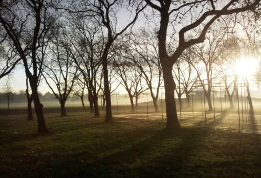 Το DNA του Νεάντερταλ ίσως εξηγεί γιατί ορισμένοι άνθρωποι είναι πρωινοί τύποι