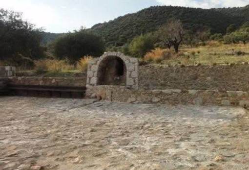 Έρχεται η Γιορτή Τρύγου στα Πάκια: Κρασί, εδέσματα και μουσική