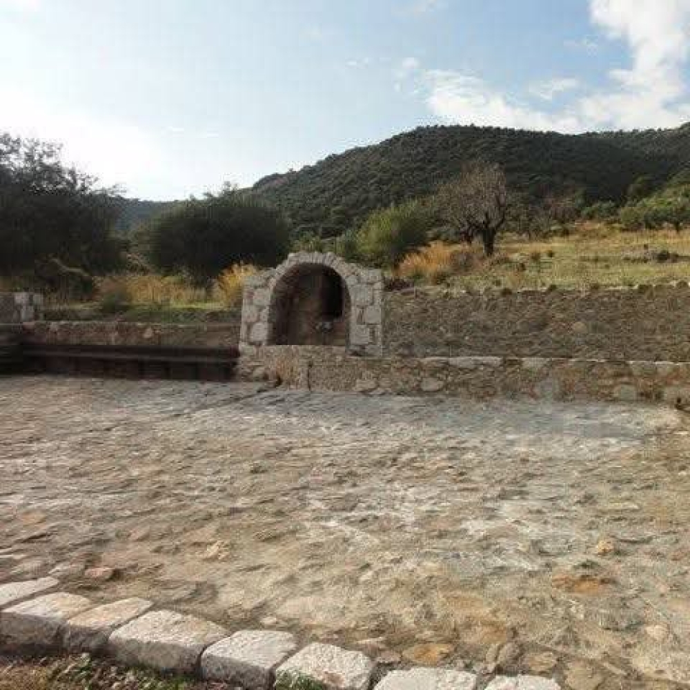 Έ&rho;&chi;&epsilon;&tau;&alpha;&iota; &eta; &Gamma;&iota;&omicron;&rho;&tau;ή &Tau;&rho;ύ&gamma;&omicron;&upsilon; &sigma;&tau;&alpha; &Pi;ά&kappa;&iota;&alpha;: &Kappa;&rho;&alpha;&sigma;ί, &epsilon;&delta;έ&sigma;&mu;&alpha;&tau;&alpha; &kappa;&alpha;&iota; &mu;&omicron;&upsilon;&sigma;&iota;&kappa;ή