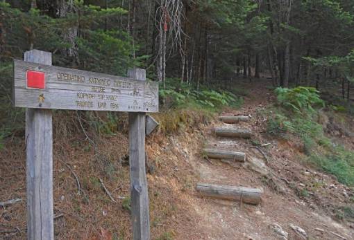 Παγκόσμια Ημέρα Περιβάλλοντος με πεζοπορία στο καταφύγιο Ταϋγέτου