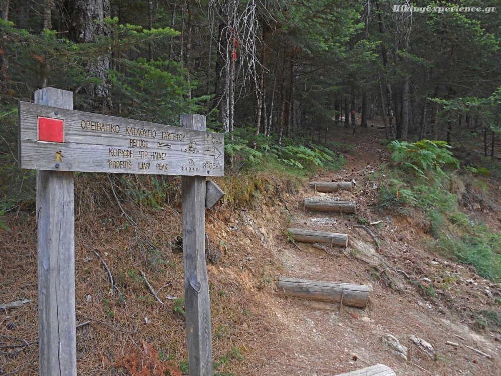 &Pi;&alpha;&gamma;&kappa;ό&sigma;&mu;&iota;&alpha; &Eta;&mu;έ&rho;&alpha; &Pi;&epsilon;&rho;&iota;&beta;ά&lambda;&lambda;&omicron;&nu;&tau;&omicron;&sigmaf; &mu;&epsilon; &pi;&epsilon;&zeta;&omicron;&pi;&omicron;&rho;ί&alpha; &sigma;&tau;&omicron; &kappa;&alpha;&tau;&alpha;&phi;ύ&gamma;&iota;&omicron; &Tau;&alpha;ϋ&gamma;έ&tau;&omicron;&upsilon;