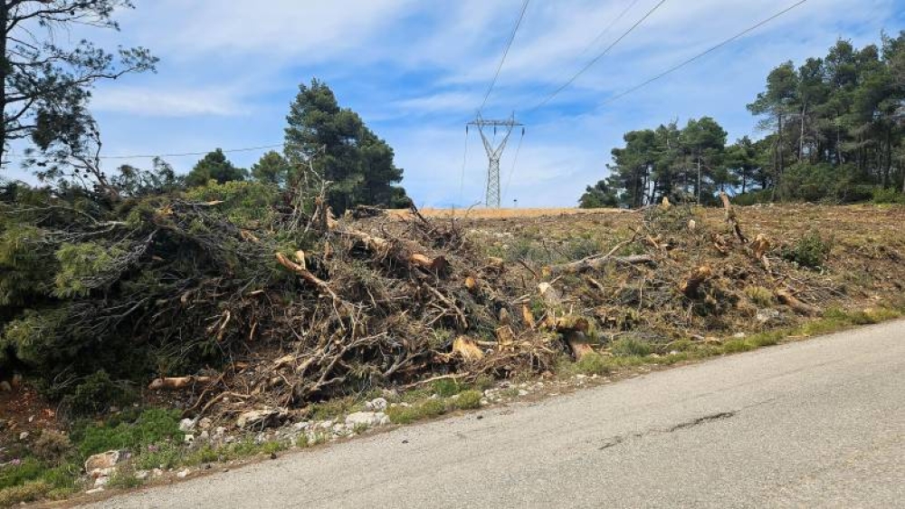 &Alpha;&kappa;&alpha;&theta;ά&rho;&iota;&sigma;&tau;&alpha; &omicron;&iota;&kappa;ό&pi;&epsilon;&delta;&alpha;: &Alpha;&pi;ό 1&eta; &Alpha;&pi;&rho;&iota;&lambda;ί&omicron;&upsilon; &omicron; &upsilon;&pi;&omicron;&chi;&rho;&epsilon;&omega;&tau;&iota;&kappa;ό&sigmaf; &kappa;&alpha;&theta;&alpha;&rho;&iota;&sigma;&mu;ό&sigmaf;