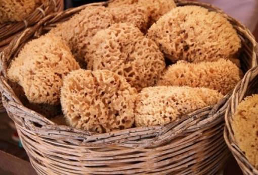 Ο σφουγγαράς, ο Γιάννης και το χρυσό κοράλλι