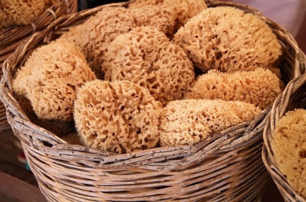 &Omicron; &sigma;&phi;&omicron;&upsilon;&gamma;&gamma;&alpha;&rho;ά&sigmaf;, &omicron; &Gamma;&iota;ά&nu;&nu;&eta;&sigmaf; &kappa;&alpha;&iota; &tau;&omicron; &chi;&rho;&upsilon;&sigma;ό &kappa;&omicron;&rho;ά&lambda;&lambda;&iota;