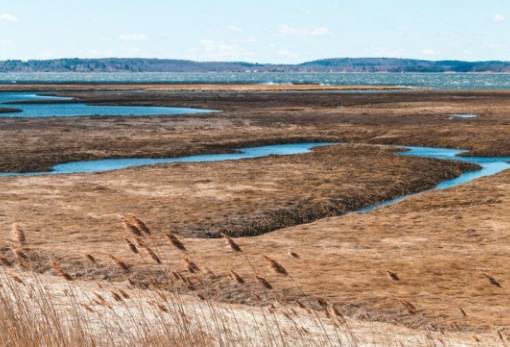 Ο δεύτερος θερμότερος μήνας παγκοσμίως ήταν ο φετινός Μάιος