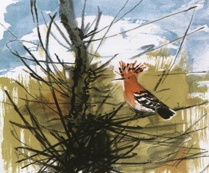 &Tau;&sigma;&alpha;&lambda;&alpha;&pi;&epsilon;&tau;&epsilon;&iota;&nu;ό&sigmaf; (Upupa epops) 