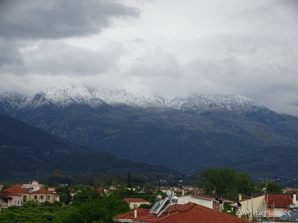 &Alpha;&nu;&theta;&iota;&sigma;&mu;έ&nu;&eta;... &sigma;&tau;&alpha; &lambda;&epsilon;&upsilon;&kappa;ά &eta; &Pi;&rho;&omega;&tau;&omicron;&mu;&alpha;&gamma;&iota;ά &sigma;&tau;&eta; &Lambda;&alpha;&kappa;&omega;&nu;ί&alpha;