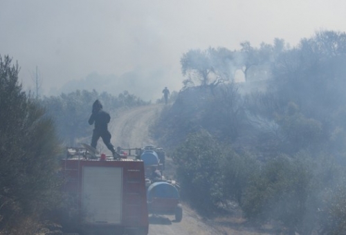 Υπό έλεγχο η πυρκαγιά στις Κροκεές