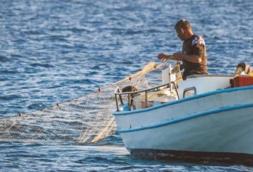 Ενημέρωση Λακώνων αλιέων για την πλατφόρμα ΟΣΠΑ