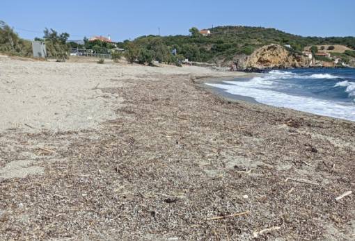 Το δικό σας σχόλιο: «Γαλάζια Σημαία» ανεμίζει πάνω από… κηλίδες στα Τηγάνια;