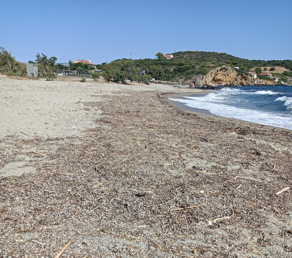 &Tau;&omicron; &delta;&iota;&kappa;ό &sigma;&alpha;&sigmaf; &sigma;&chi;ό&lambda;&iota;&omicron;: &laquo;&Gamma;&alpha;&lambda;ά&zeta;&iota;&alpha; &Sigma;&eta;&mu;&alpha;ί&alpha;&raquo; &alpha;&nu;&epsilon;&mu;ί&zeta;&epsilon;&iota; &pi;ά&nu;&omega; &alpha;&pi;ό&hellip; &kappa;&eta;&lambda;ί&delta;&epsilon;&sigmaf; &sigma;&tau;&alpha; &Tau;&eta;&gamma;ά&nu;&iota;&alpha;;