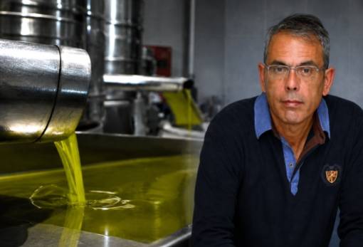 Η «χρυσή» προοπτική μιας Σχολής Ελαιοκομίας για τη Λακωνία