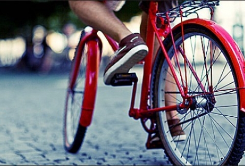  Η 3η Ποδηλατοβόλτα στην Πλύτρα