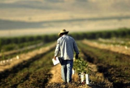 Αγροτικός κόσμος σε πίεση: το «στοίχημα» της Λέσβου και τα μηνύματα στήριξης από την κυβέρνηση