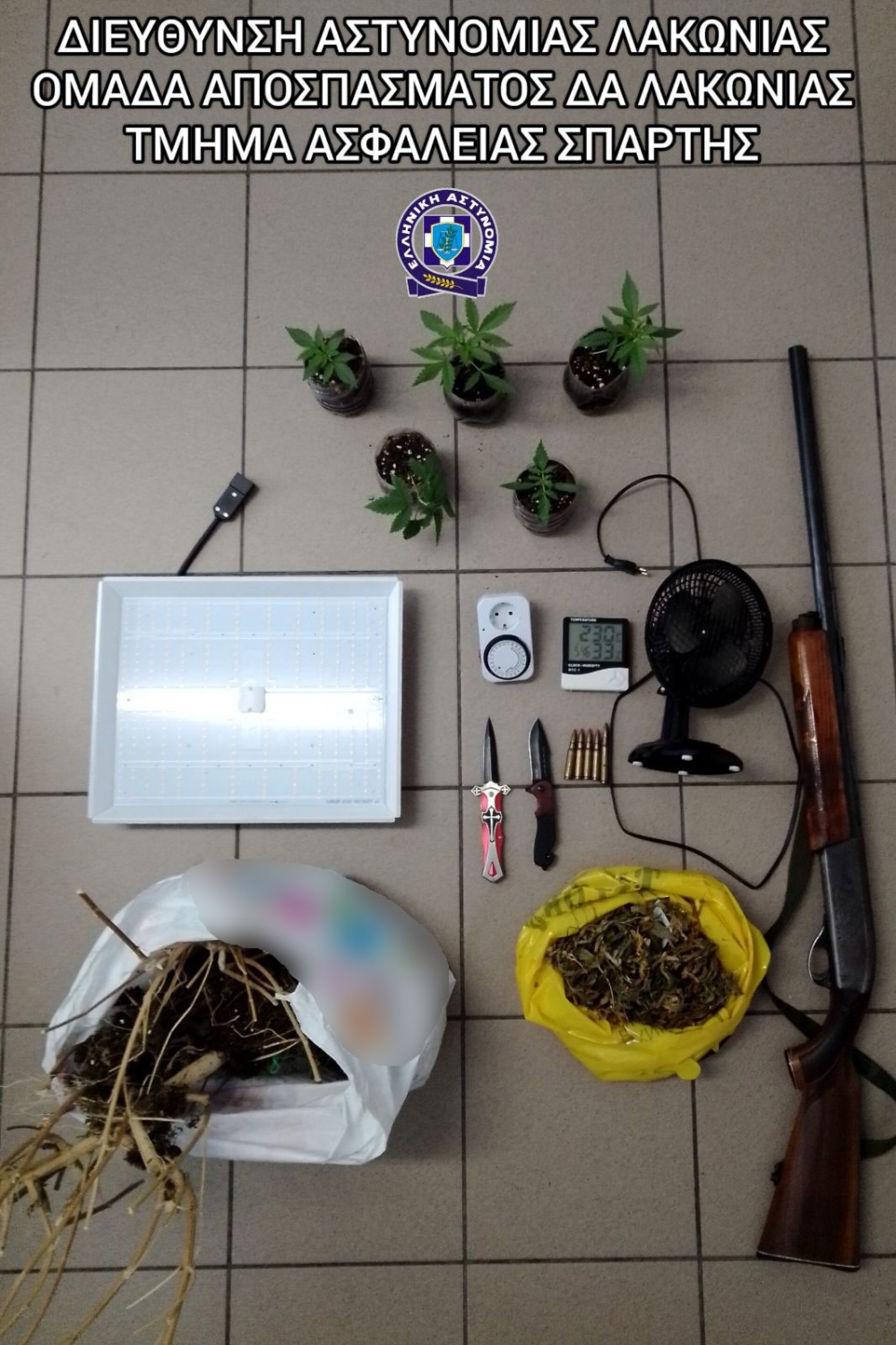 &Sigma;&pi;ά&rho;&tau;&eta;: 5 &delta;&epsilon;&nu;&delta;&rho;ύ&lambda;&lambda;&iota;&alpha; &kappa;ά&nu;&nu;&alpha;&beta;&eta;&sigmaf; &tau;&omicron;&nu; έ&sigma;&tau;&epsilon;&iota;&lambda;&alpha;&nu; &pi;ί&sigma;&omega; &alpha;&pi;&rsquo; &tau;&alpha; &kappa;ά&gamma;&kappa;&epsilon;&lambda;&alpha;