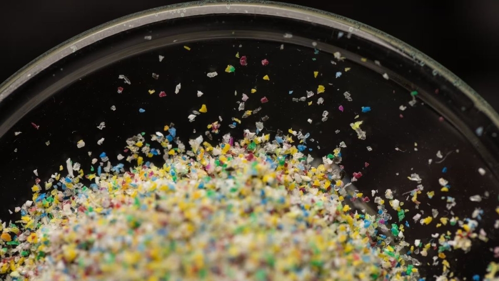 &Pi;&omicron;&sigma;ό&tau;&eta;&tau;&alpha; &mu;&iota;&kappa;&rho;&omicron;&pi;&lambda;&alpha;&sigma;&tau;&iota;&kappa;ώ&nu; &iota;&sigma;&omicron;&delta;ύ&nu;&alpha;&mu;&eta; &mu;&epsilon; έ&nu;&alpha; &omicron;&lambda;ό&kappa;&lambda;&eta;&rho;&omicron; &pi;&lambda;&alpha;&sigma;&tau;&iota;&kappa;ό &kappa;&omicron;&upsilon;&tau;ά&lambda;&iota; &beta;&rho;έ&theta;&eta;&kappa;&epsilon; &sigma;&tau;&omicron;&nu; &alpha;&nu;&theta;&rho;ώ&pi;&iota;&nu;&omicron; &epsilon;&gamma;&kappa;έ&phi;&alpha;&lambda;&omicron;