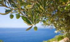 &Eta; &laquo;&kappa;&iota;&beta;&omega;&tau;ό&sigmaf;&raquo; &tau;&eta;&sigmaf; &epsilon;&lambda;&iota;ά&sigmaf; &chi;&tau;ί&zeta;&epsilon;&iota; ά&mu;&upsilon;&nu;&alpha; &alpha;&pi;έ&nu;&alpha;&nu;&tau;&iota; &sigma;&tau;&eta;&nu; &kappa;&lambda;&iota;&mu;&alpha;&tau;&iota;&kappa;ή &alpha;&lambda;&lambda;&alpha;&gamma;ή