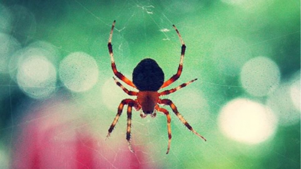 &Alpha;&rho;ά&chi;&nu;&epsilon;&sigmaf; &epsilon;&nu;&epsilon;&rho;&gamma;&omicron;&pi;&omicron;&iota;&omicron;ύ&nu; &epsilon;&kappa;&tau;&iota;&nu;&alpha;&sigma;&sigma;ό&mu;&epsilon;&nu;&omicron; &kappa;ά&theta;&iota;&sigma;&mu;&alpha; &gamma;&iota;&alpha; &nu;&alpha; &gamma;&lambda;&iota;&tau;ώ&sigma;&omicron;&upsilon;&nu; &alpha;&pi;ό &kappa;&alpha;&nu;&iota;&beta;&alpha;&lambda;&iota;&sigma;&mu;ό &mu;&epsilon;&tau;ά &tau;&omicron; &sigma;&epsilon;&xi;