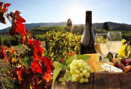 Χρηματοδοτήσεις και δράσεις για ανάπτυξη του οινοτουρισμού στην Πελοπόννησο