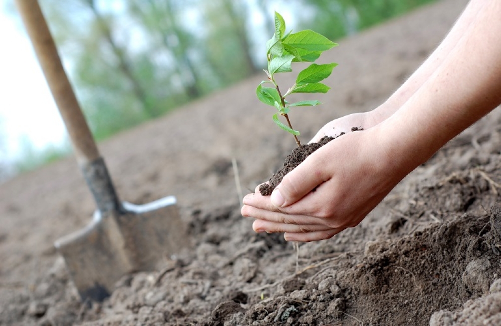 &Epsilon;&Epsilon;: &Lambda;&iota;&gamma;ό&tau;&epsilon;&rho;&eta; &gamma;&rho;&alpha;&phi;&epsilon;&iota;&omicron;&kappa;&rho;&alpha;&tau;ί&alpha; &sigma;&tau;&omicron; &chi;&omega;&rho;ά&phi;&iota; &kappa;&alpha;&iota; &sigma;&tau;&eta;&nu; &alpha;&gamma;&rho;&omicron;&delta;&iota;&alpha;&tau;&rho;&omicron;&phi;ή