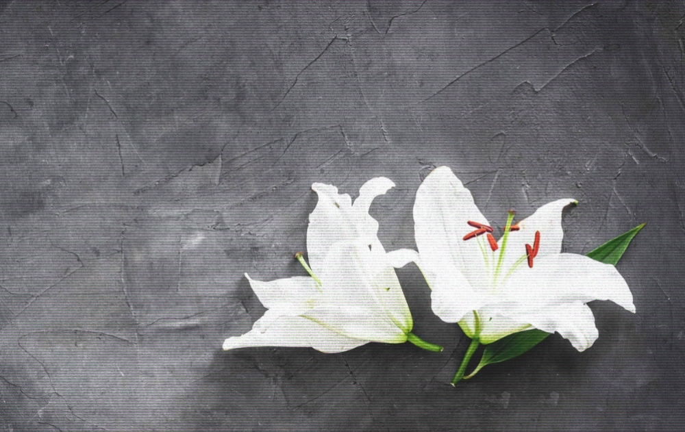 &Alpha;&pi;&rho;ί&lambda;&iota;&omicron;&sigmaf;: &Omicron; &mu;ή&nu;&alpha;&sigmaf; &pi;&omicron;&upsilon; &laquo;&lambda;&upsilon;&gamma;ί&zeta;&epsilon;&iota;&raquo; &tau;&omicron;&upsilon;&sigmaf; &delta;&eta;&mu;ά&rho;&chi;&omicron;&upsilon;&sigmaf; &tau;&eta;&sigmaf; &Sigma;&pi;ά&rho;&tau;&eta;&sigmaf;