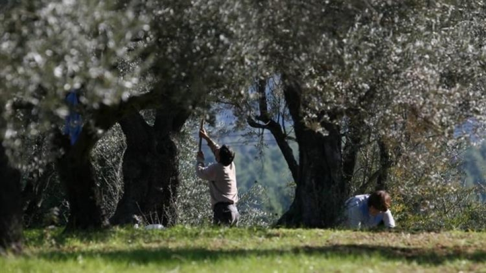 &laquo;&Kappa;&alpha;ί&nu;&epsilon;&raquo; &tau;&alpha; &epsilon;&rho;&gamma;&alpha;&tau;&iota;&kappa;ά &chi;έ&rho;&iota;&alpha; &gamma;&iota;&alpha; &tau;&eta; &sigma;&upsilon;&gamma;&kappa;&omicron;&mu;&iota;&delta;ή &tau;&eta;&sigmaf; &epsilon;&lambda;&iota;ά&sigmaf;