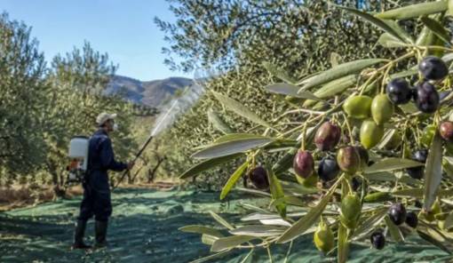 &Pi;&omicron;&iota;&omicron;&iota; &epsilon;&lambda;&alpha;&iota;&omicron;&pi;&alpha;&rho;&alpha;&gamma;&omega;&gamma;&omicron;ί &alpha;&pi;&alpha;&lambda;&lambda;ά&sigma;&sigma;&omicron;&nu;&tau;&alpha;&iota; &alpha;&pi;ό &tau;&eta;&nu; &epsilon;&iota;&sigma;&phi;&omicron;&rho;ά &delta;&alpha;&kappa;&omicron;&kappa;&tau;&omicron;&nu;ί&alpha;&sigmaf;