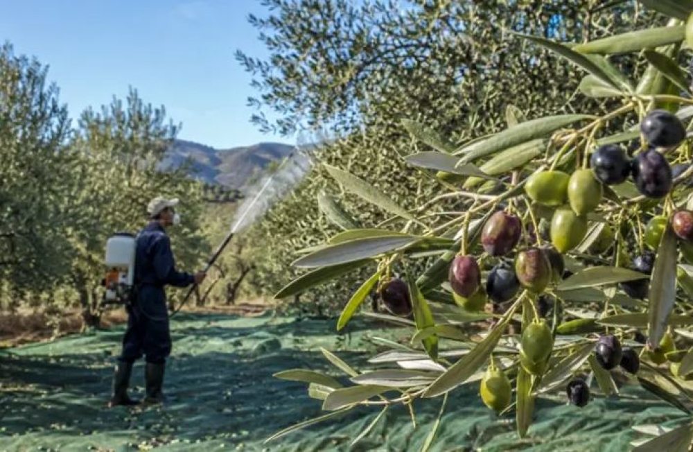 &Pi;&omicron;&iota;&omicron;&iota; &epsilon;&lambda;&alpha;&iota;&omicron;&pi;&alpha;&rho;&alpha;&gamma;&omega;&gamma;&omicron;ί &alpha;&pi;&alpha;&lambda;&lambda;ά&sigma;&sigma;&omicron;&nu;&tau;&alpha;&iota; &alpha;&pi;ό &tau;&eta;&nu; &epsilon;&iota;&sigma;&phi;&omicron;&rho;ά &delta;&alpha;&kappa;&omicron;&kappa;&tau;&omicron;&nu;ί&alpha;&sigmaf;