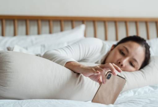 Τα ζώδια που λατρεύουν την άνεση