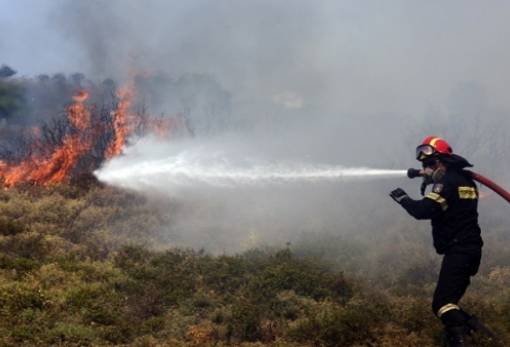 Μέτρα για τις δασικές πυρκαγιές παίρνει ο Δ. Μονεμβασίας