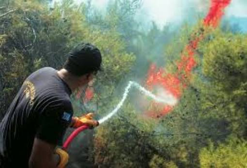 33 προσλήψεις για πυροπροστασία στο Δήμο Σπάρτης