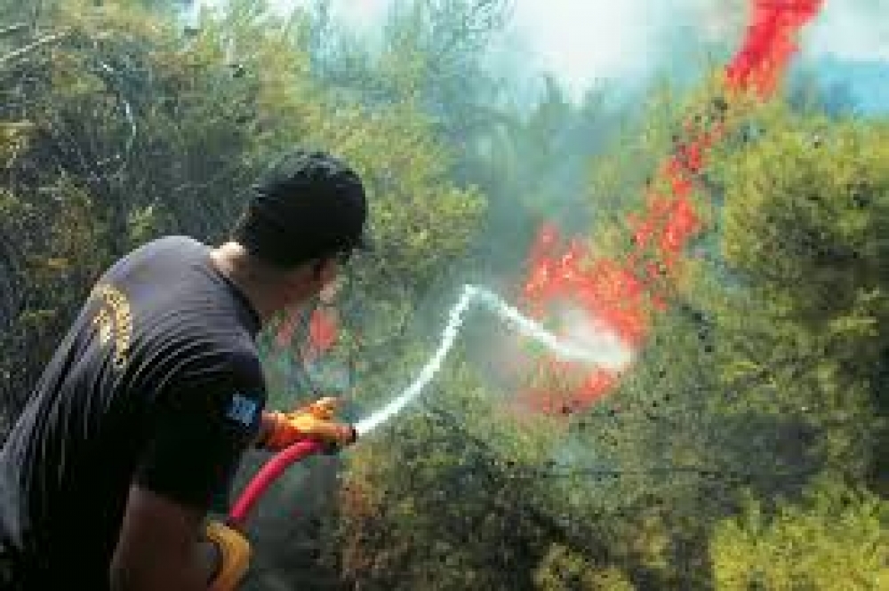 33 &pi;&rho;&omicron;&sigma;&lambda;ή&psi;&epsilon;&iota;&sigmaf; &gamma;&iota;&alpha; &pi;&upsilon;&rho;&omicron;&pi;&rho;&omicron;&sigma;&tau;&alpha;&sigma;ί&alpha; &sigma;&tau;&omicron; &Delta;ή&mu;&omicron; &Sigma;&pi;ά&rho;&tau;&eta;&sigmaf;