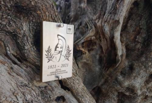 Άριστο λάδι παραγωγής Απιδέας με «ρίζες» 2.000 ετών